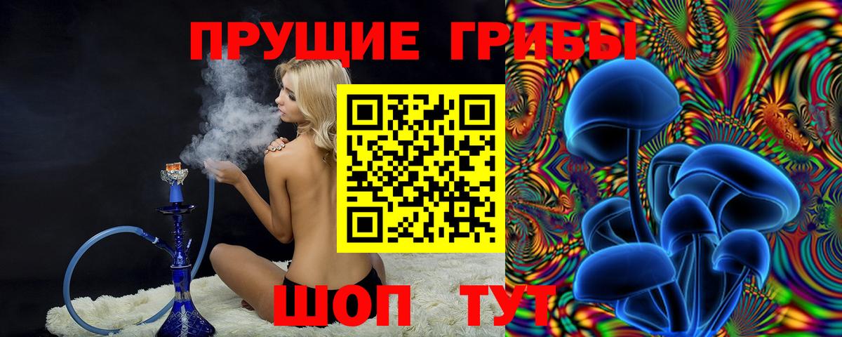 Псилоцибиновые грибы Cubensis  Вход с VPN  Кемерово  Галлюциногенные грибы мухоморы 